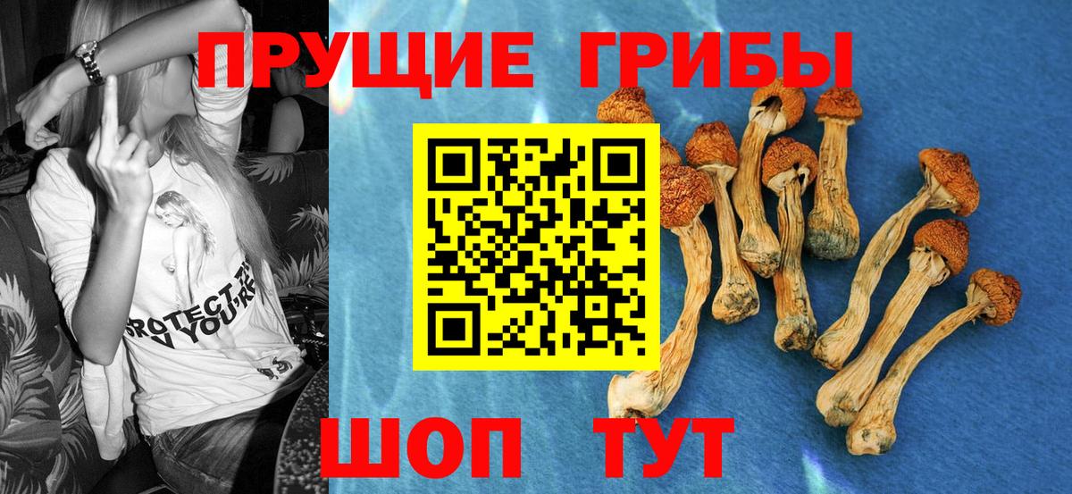 Галлюциногенные грибы Magic Shrooms  Галлюциногенные грибы прущие грибы  Вход с VPN  Качканар 